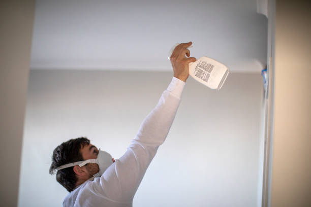 Best Mold Damage Repair  in Barnsdall, OK