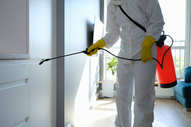Best Crawl Space Mold Removal  in Barnsdall, OK