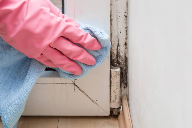 Best Mold Testing  in Barnsdall, OK